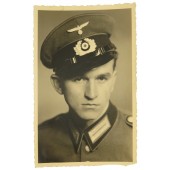 Porträttfoto av Wehrmacht-soldat i klädd uniform och visirmössa